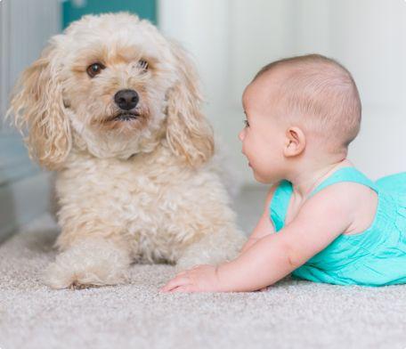 Детские ковры